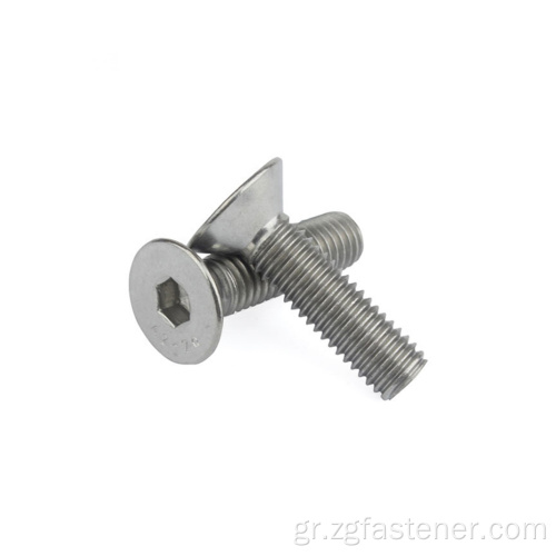 Ανοξείδωτο χάλυβα SUS304 Hex Socket Flat Head Screw